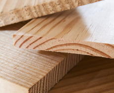Wood and Specialty Coatings Binders